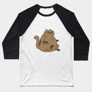 Fluffy cat Baseball T-Shirt